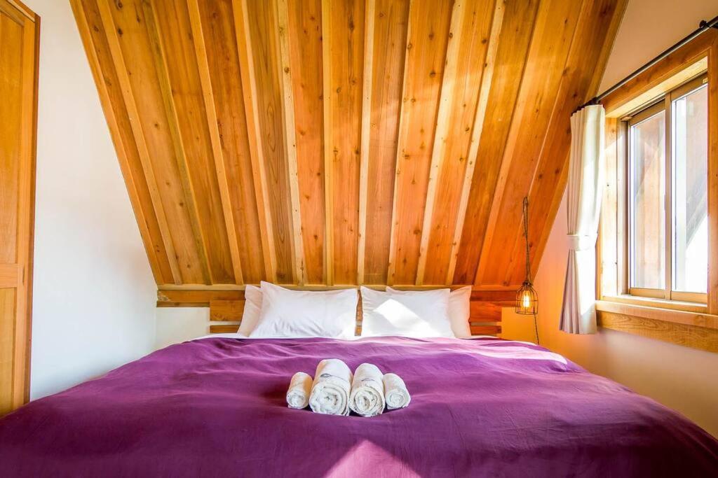 Misorano Chalet Hakuba Exteriér fotografie