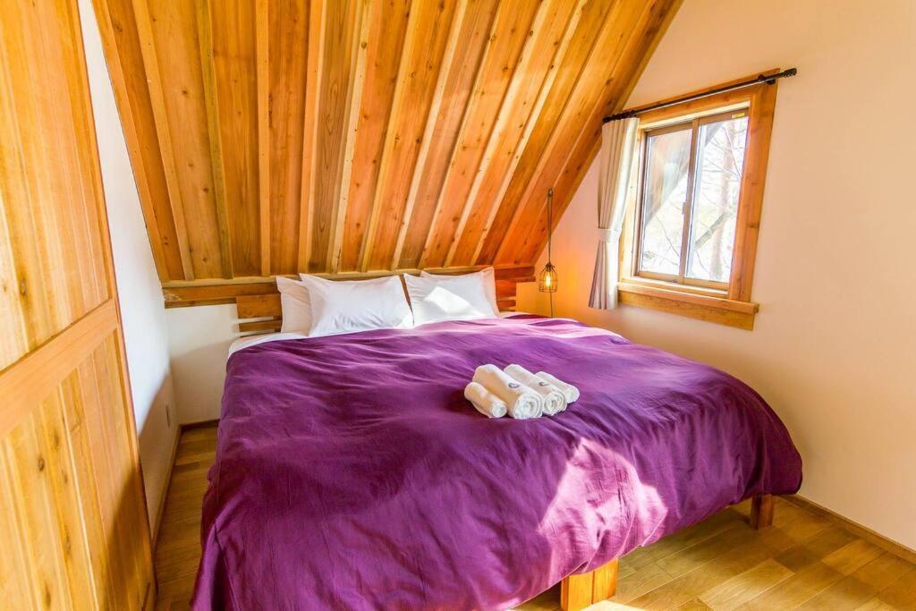 Misorano Chalet Hakuba Exteriér fotografie
