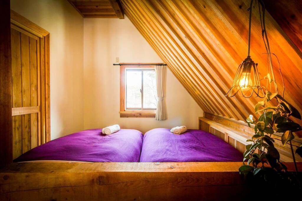 Misorano Chalet Hakuba Exteriér fotografie