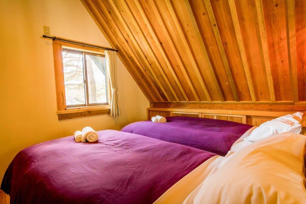 Misorano Chalet Hakuba Exteriér fotografie
